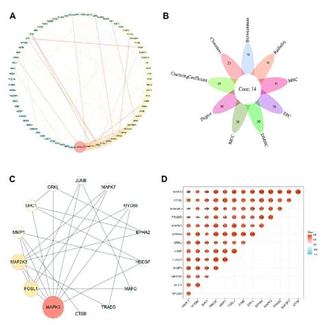 Construction And Validation Of An Optimal Ferroptosis Related DFU