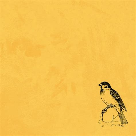 Заря 2024 | ВКонтакте