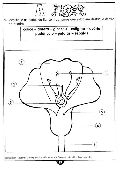 Ba Da Web Desenhos Para Colorir Pintar E Atividades Escolares