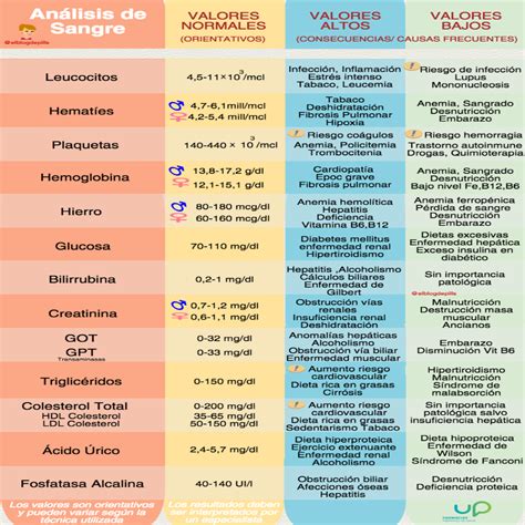Salud Con Sentidos C Mo Intrepertar Los An Lisis De Sangre