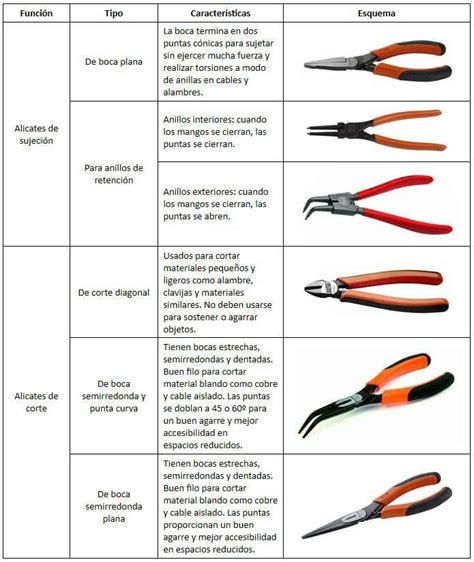 Introducci N A Las Pinzas Qu Son Para Qu Sirven Y Cu Ntos Tipos Hay