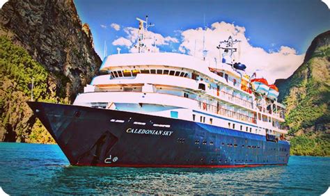 Terumbu Karang Di Laut Raja Ampat Dirusak Kapal Pesiar Caledonian Sky