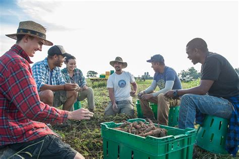 Regenerative Organic Farming Internships At Rodale Beginning Farmers