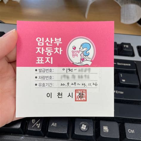 이천시 보건소 임산부 신고엽산제 철분제 임산부 자동차 표지 발급 무료 임산부 산전임신중 검사지원 네이버 블로그