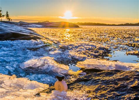 My Attitude Avon Parfum - ein es Parfum für Frauen 2018