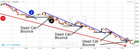 Dead Cat Bounce: What is it & How Can You Profit From it?