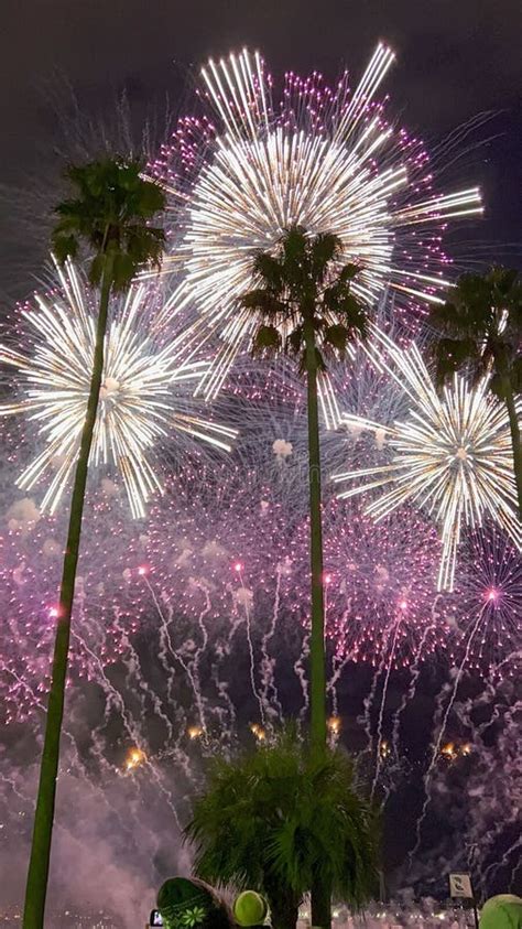 Fireworks Display Lighting Up The Night Sky With Palm Trees In Japan