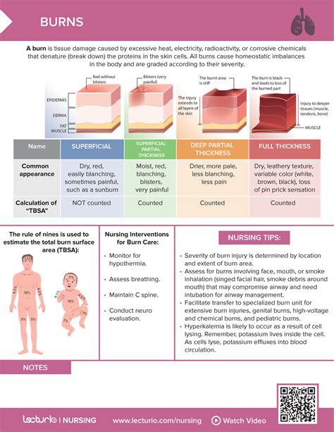 Lecturi Nursing Burns Lecturionursing Watch Video Notes Burns A Burn