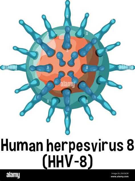 Human Herpesvirus 8 Hhv 8 With Text Illustration Stock Vector Image