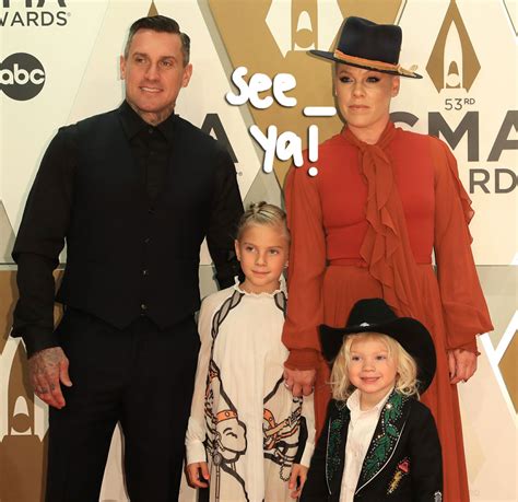 Pink Reveals She's Taking A Break From Music In 2020: 'It's The Year Of ...