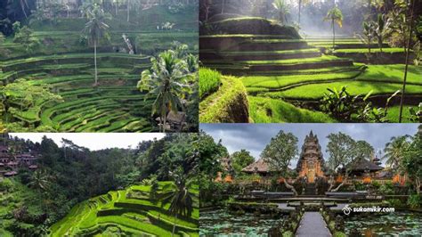 Tempat Wisata Di Ubud Bali Yang Lagi Hits