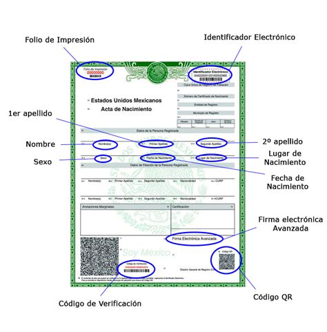 Recursos Gráficos del Acta de Nacimiento Tu acta de nacimiento