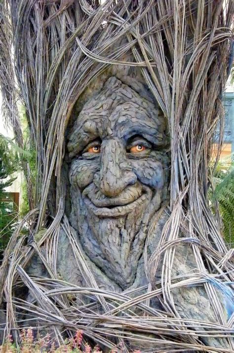 Funny Trees Funny Tree 15 Weird Trees Tree People Tree Faces Tree Carving