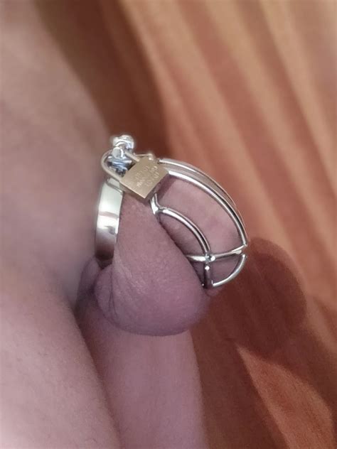 Almost All Of My Previous Medium Sized Cock Cages 66 Nude Pics XHamster