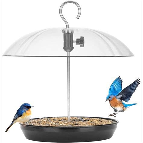 Best Bluebird Mealworm Feeders Wildlifeful