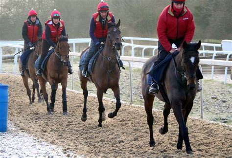 Book a VIP Stables Experience - Horse Racing Hospitality 2025