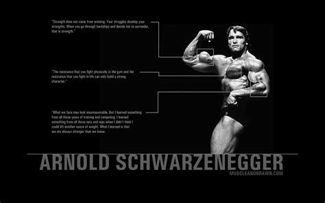 Arnold Schwarzenegger Best Movie Quotes. QuotesGram