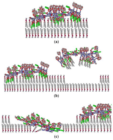 Ijms Free Full Text Molecular Interaction Of A New Antibacterial