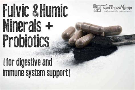 How To Take Fulvic And Humic Minerals Wellness Mama