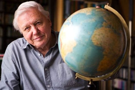 Programmes Great Barrier Reef with David Attenborough - Radio Times