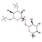 Dextran Sulfate Sodium Salt Approx M W 500 000 Thermo Scientific