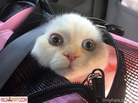 NSFWLeia Nsfwleia Princess A Leia Nude OnlyFans Instagram Leaked Photo