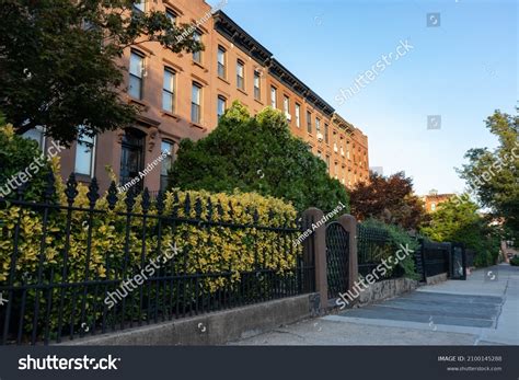 305 Carroll Gardens Royalty-Free Photos and Stock Images | Shutterstock