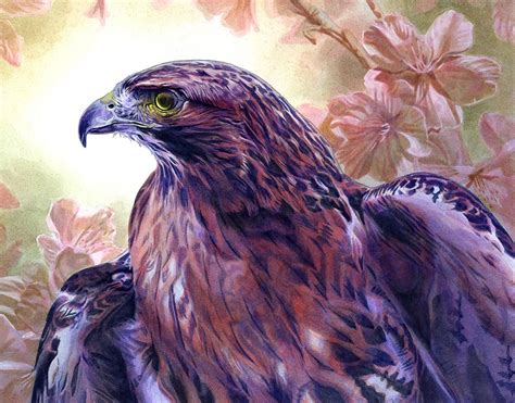 Alan Hawley Illustration Red Tailed Hawk Acrylic Painting