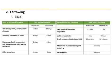 FARROWING MANAGEMENT Pptx