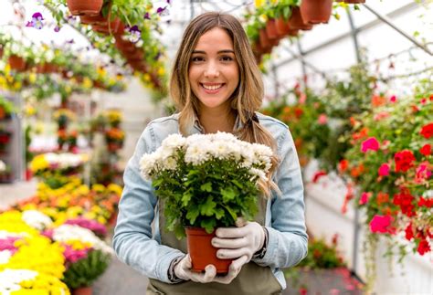 Blooming Beauty: Your Premier Local Florist in McAllen, TX