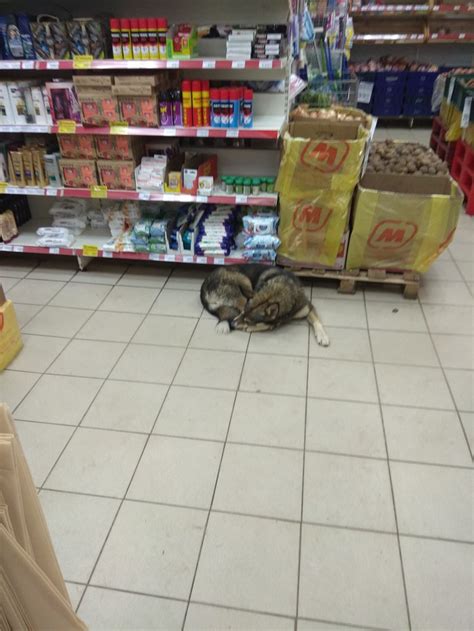 Просто магнит | Пикабу