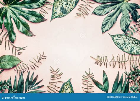 Creative Nature Frame Made Of Tropical Palm And Fern Leaves On Pastel