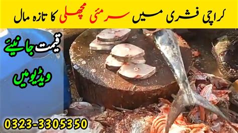 Fish Video Surmai Fish Update Karachi Fishery Market On