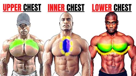 Top Inner Lower And Upper Chest Workout At Gym Meilleurs Exs