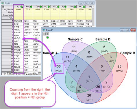 Create venn diagram in word 2013 - lsafitness