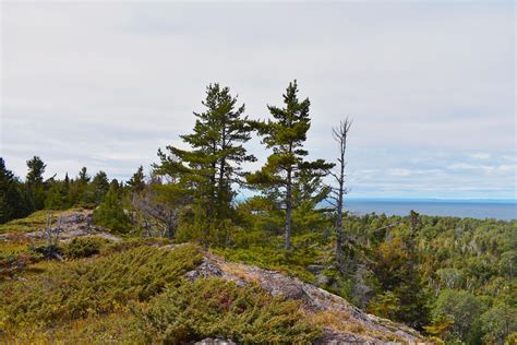 Minong Ridge Trail, Isle Royale National Park, Michigan, USA : r/hiking