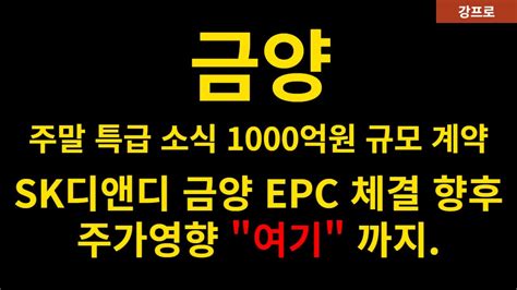 금양 주가전망 주말 특급소식 1000억원 규모 계약체결 Sk디앤디 금약 Epc 체결 향후 주가영향 여기 까지