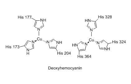 Hemocyanin - Wikipedia