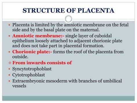 Placenta structure and functions | PPT