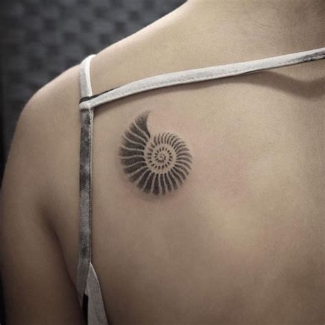 Alchemy Tattoo Studio on Instagram: "Nautilus shell by @nanno.tattoo ...