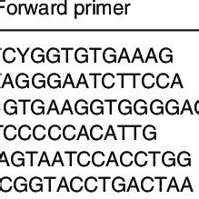 Primers used for quantitative real-time polymerase chain reaction (qRT ... 