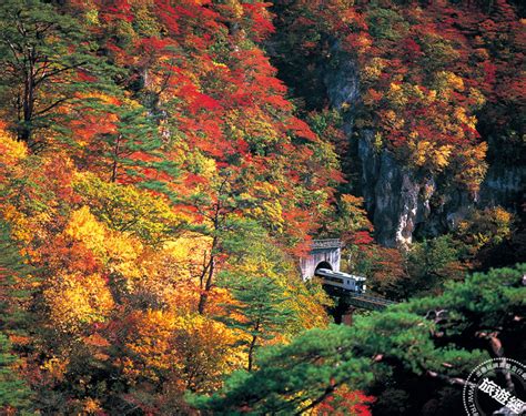 日本賞楓必收藏！5條精選日本東北賞楓、泡湯鐵道路線 美食旅遊 Udn 女子漾