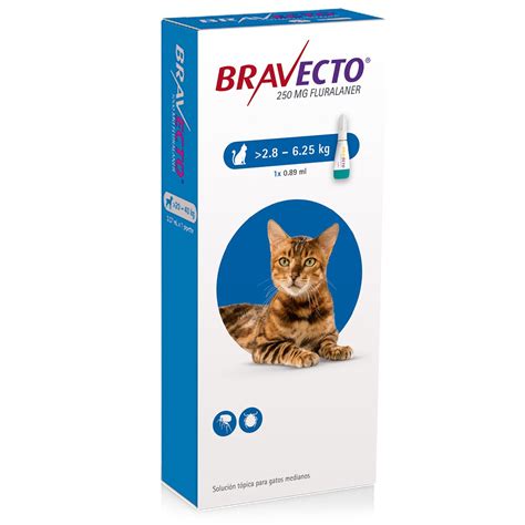 Bravecto Gatos A Kg Intervet Universo Mascota