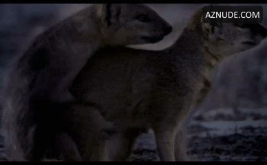 Ana Alexander Jayden Cole Lesbian Breasts Scene In Chemistry Aznude