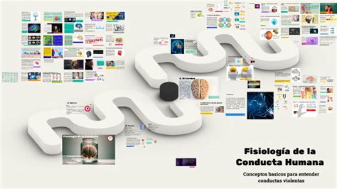 Fisiolog A De La Conducta By Omar Vargas On Prezi