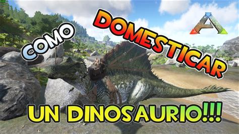 Ark Survival Evolved Como Domesticar Un Dinosaurio Youtube