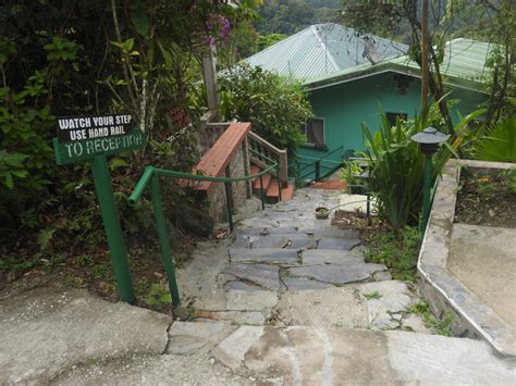 Lodge Review: Asa Wright Nature Centre, Trinidad | Miles To The Wild