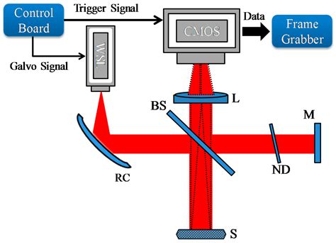 Sensors Free Full Text Full Field Optical Coherence Tomography