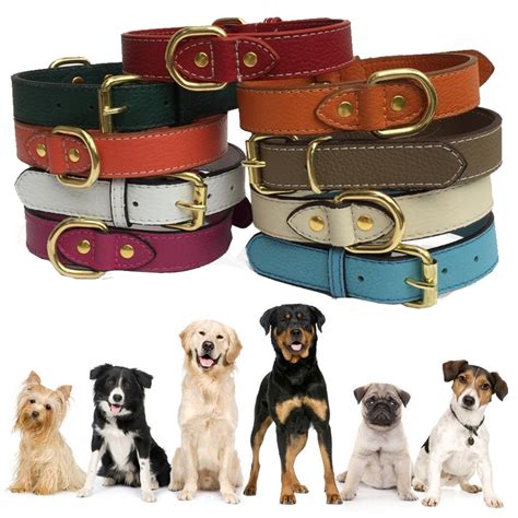 Leather Padded Dog Collar Genuine Leather High Quality Durable Buckles