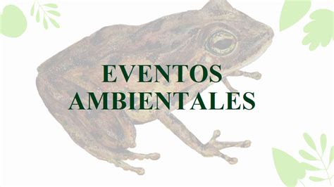 El Colegio Eventos Ambientales